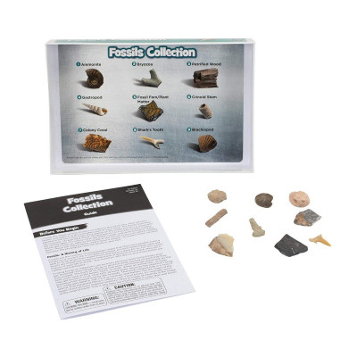 Educational Insights Complete Rock Mineral & Fossils Collection